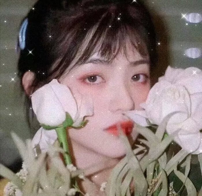 出走的决心